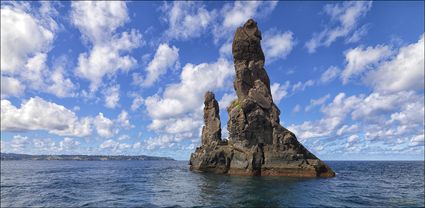 Sea Stacks - Nepean Island - Norfolk Island - NSW T (PBH4 00 12364)